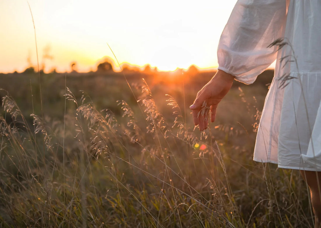 Wabi Sabi: Mit der japanischen Philosophie zu mehr Achtsamkeit