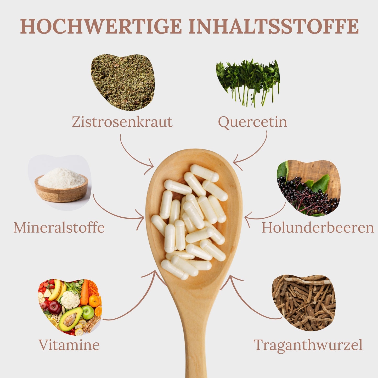 Meneki - Starkes Immunsystem
